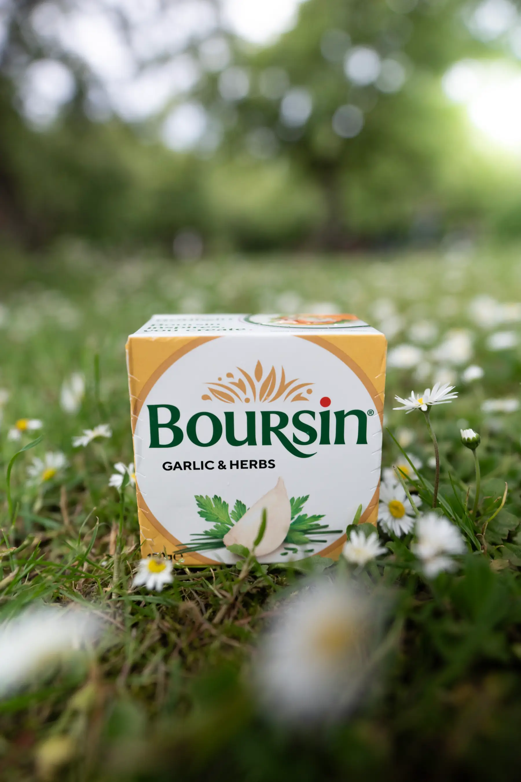 Boursin gallery 2